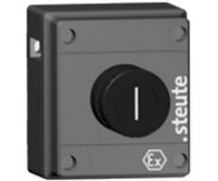 6810033101 Steute   